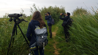 Science et Vie de la Terre : Sortie au Parc de Brière