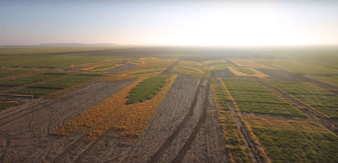 La communication vidéo : valoriser l'Agriculture et l'Agrofourniture