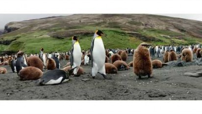 Spot publicitaire sur les îles Kerguelen "49° Sud Nature Australe"