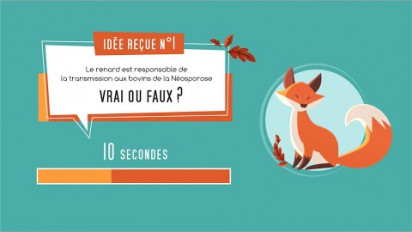 Vidéo quizz sur la faune sauvage