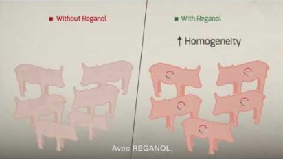 Motion Design 2D sur le procédé REGANOL, pour améliorer les performances de l'élevage